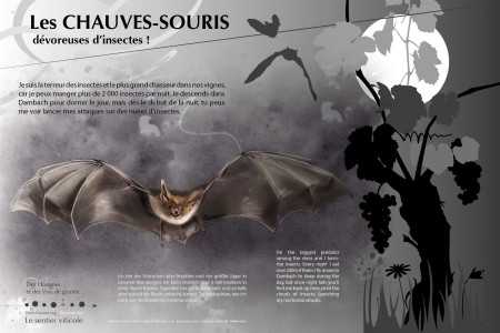 DLV-panneaux-enfants-chauve-souris